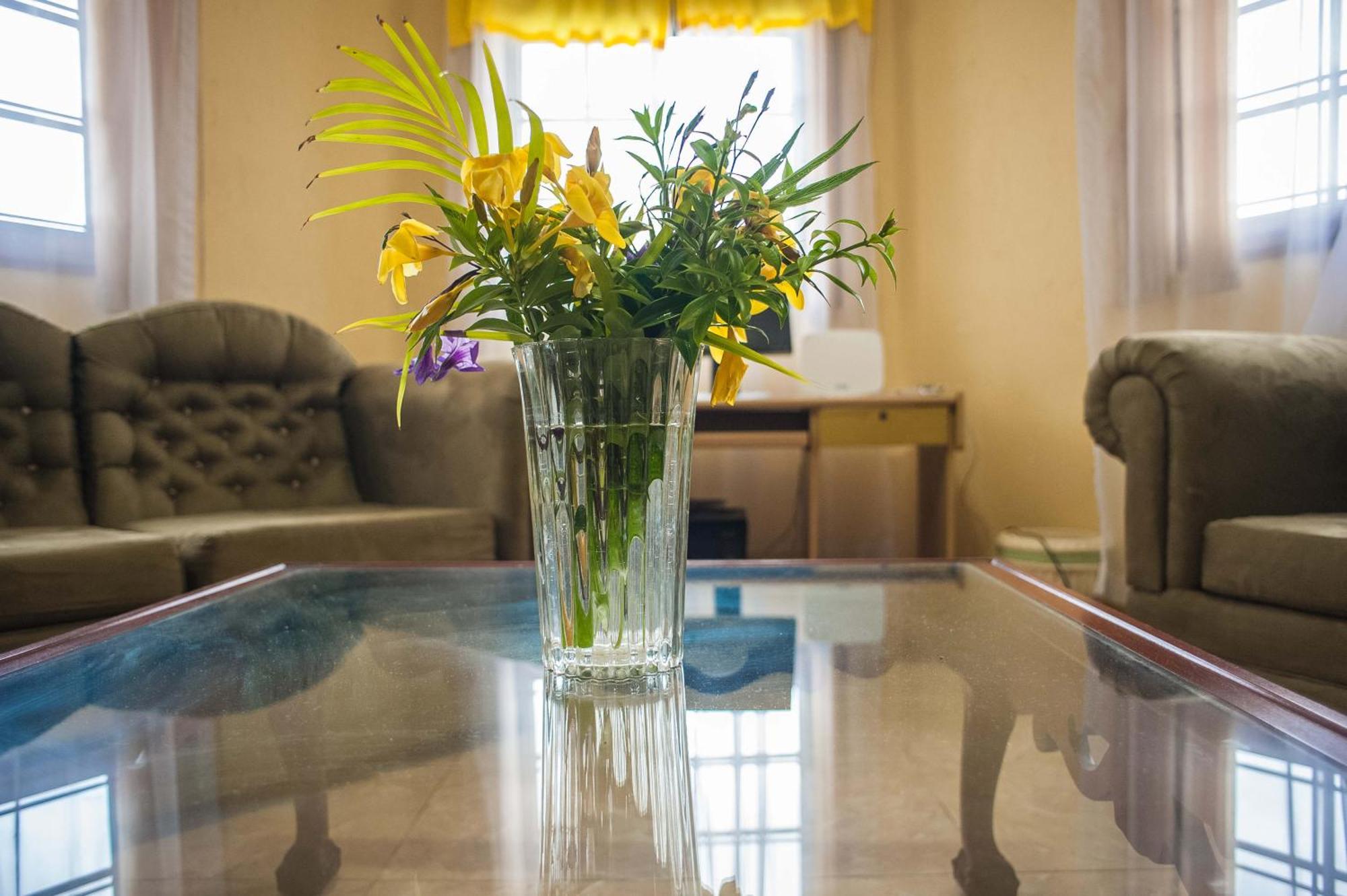 Clarridge View Guesthouse モンテゴ・ベイ エクステリア 写真